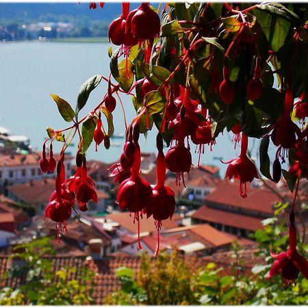 Zura Apartments Ohrid Kültér fotó
