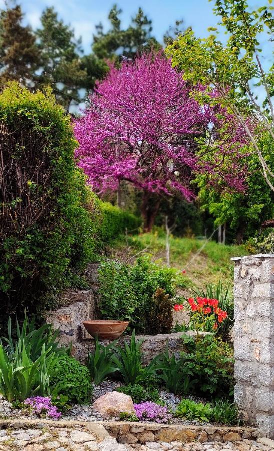 Zura Apartments Ohrid Kültér fotó