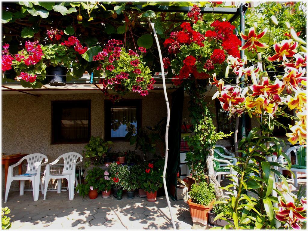 Zura Apartments Ohrid Kültér fotó