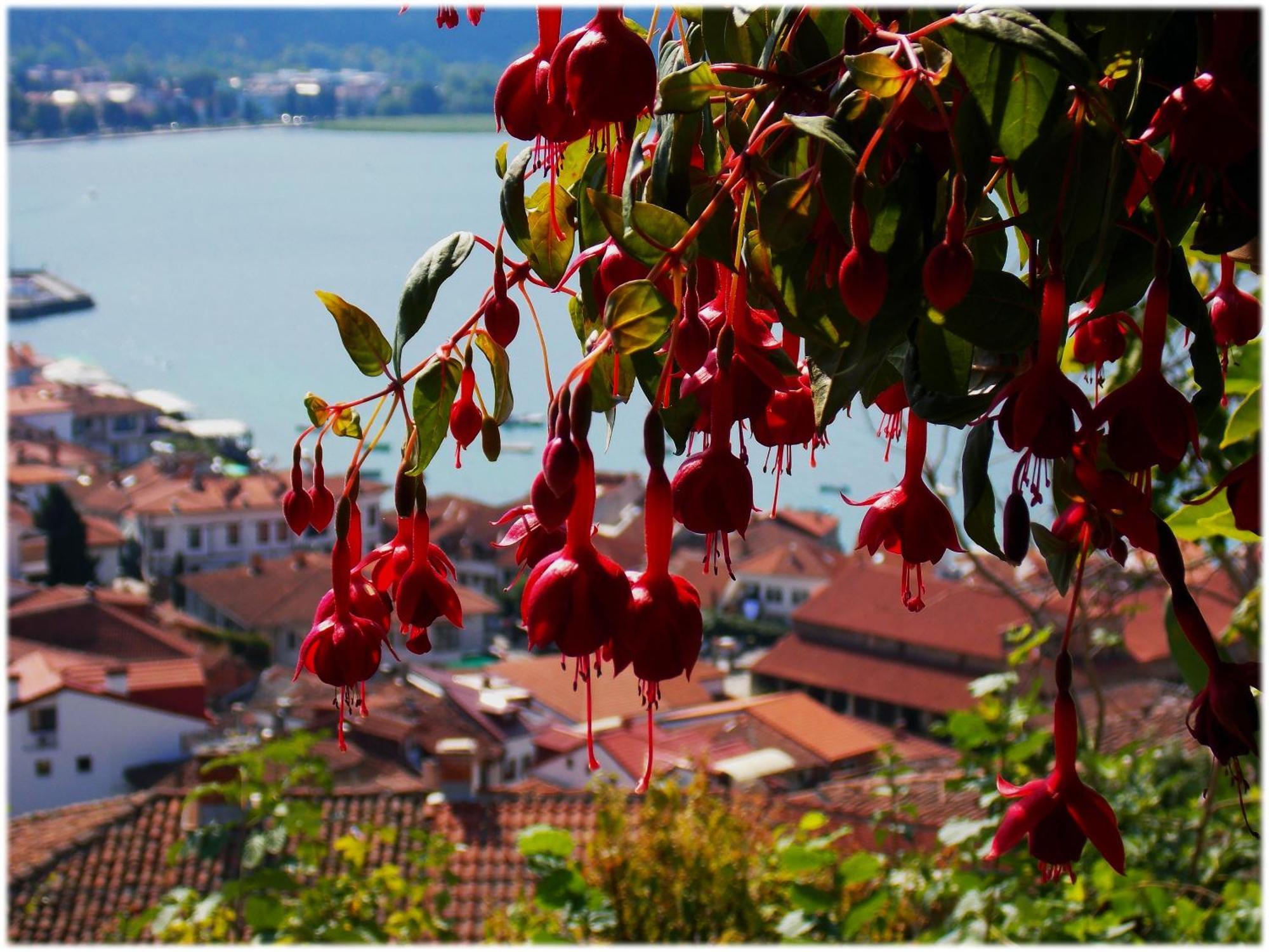 Zura Apartments Ohrid Kültér fotó