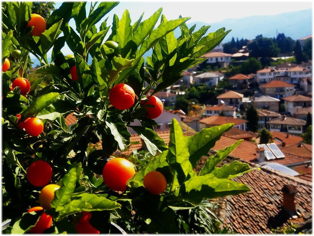Zura Apartments Ohrid Kültér fotó